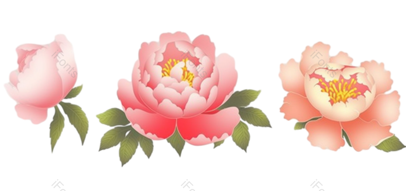 叶子图片,装饰元素,元素PNG,花纹免抠素材